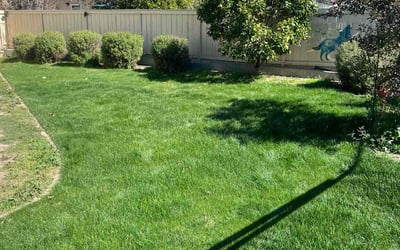 Photo of Karen R.'s yard after getting lawn care in Imperial Beach, CA