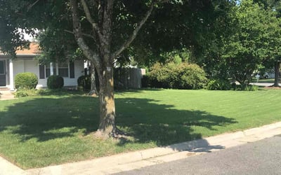 Photo of Nathan G.'s yard after getting lawn care in Jenison, MI