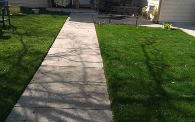 Photo of Belinda K.'s yard after getting lawn care in Florence, AZ
