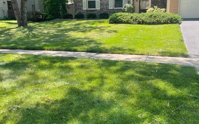 Photo of Neil & Kathy W.'s yard after getting lawn care in Batavia, IL