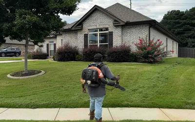 Photo of Lucas M.'s yard after getting lawn care in Austin, TX