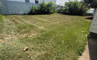 Photo of Yaroslava G.'s yard after getting lawn care in Kyle, TX