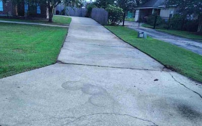 Photo of Tony H.'s yard after getting tree care in Douglasville, GA