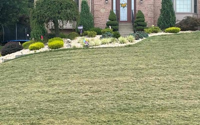 Photo of Elizabeth D.'s yard after getting lawn care in Ambridge, PA
