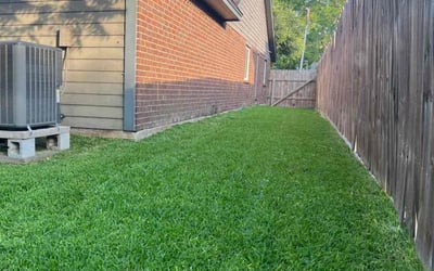 Photo of Hector C.'s yard after getting lawn care in Plano, TX