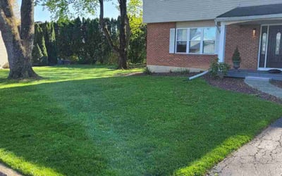 Photo of Dave O.'s yard after getting lawn care in Macungie, PA