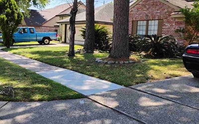 Photo of Montrell D.'s yard after getting lawn care in Spring, TX