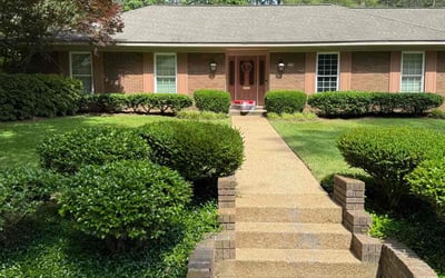 Photo of Fatirah P.'s yard after getting lawn care in Jackson, MS