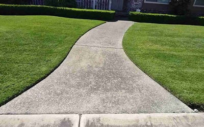 Photo of Kyle c.'s yard after getting lawn care in Turlock, CA