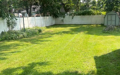 Photo of Dave W.'s yard after getting lawn care in Saint Clair, MI