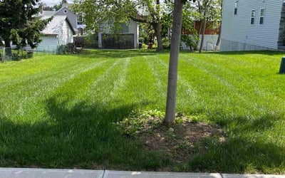 Photo of Timmey W.'s yard after getting lawn care in Minneapolis, MN