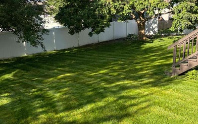 Photo of Cameron L.'s yard after getting lawn care in Saint Charles, MO