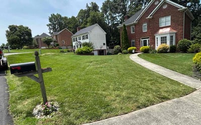 Photo of Aj H.'s yard after getting lawn care in Alliance, OH