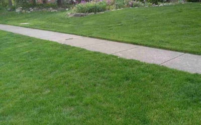Photo of Franklin S.'s yard after getting lawn care in Ann Arbor, MI