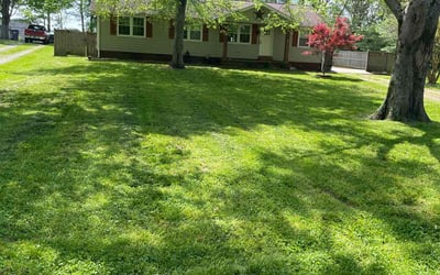 Photo of Shayn J.'s yard after getting lawn care in Gallatin, TN