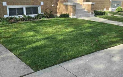 Photo of Joe R.'s yard after getting lawn care in Chicago, IL