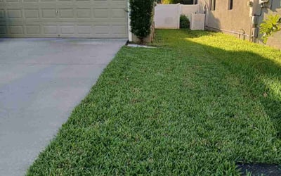 Photo of Victor D.'s yard after getting lawn care in Spring Branch, TX