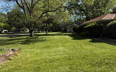 Photo of Eely M.'s yard after getting lawn care in Suffolk, VA