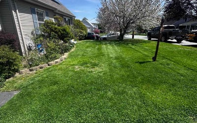 Photo of Kala R.'s yard after getting lawn care in Williamston, SC