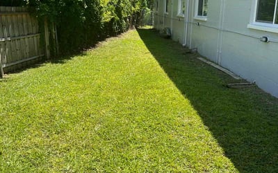 Photo of Shawn F.'s yard after getting tree care in Pinckney, MI