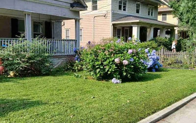 Photo of Salma F.'s yard after getting lawn care in Staten Island, NY