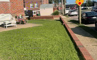 Photo of John P.'s yard after getting lawn care in Broomall, PA