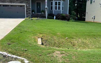 Photo of Sharon J.'s yard after getting lawn care in Youngsville, NC
