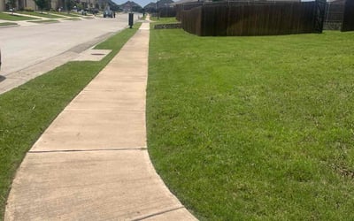 Photo of Ray S.'s yard after getting lawn care in San Marcos, TX