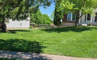Photo of Karen N.'s yard after getting lawn care in Milford, OH