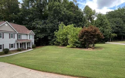 Photo of Kristi P.'s yard after getting lawn care in Winder, GA