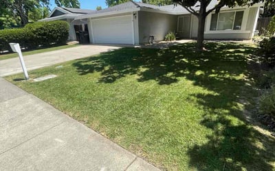 Photo of Jim L.'s yard after getting lawn care in Covington, KY