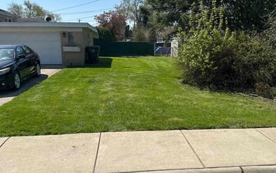 Photo of Jose P.'s yard after getting lawn care in South Holland, IL