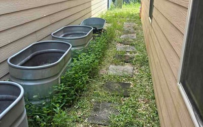 Photo of Dave A.'s yard after getting lawn care in Old Saybrook, CT