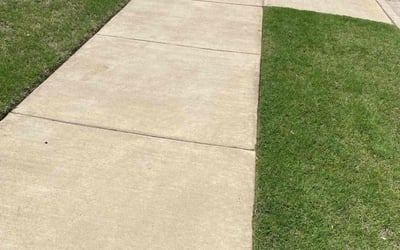 Photo of Sarah Y.'s yard after getting lawn care in South Ozone Park, NY