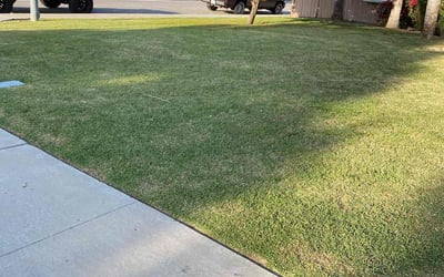 Photo of Gerry M.'s yard after getting lawn care in Rosamond, CA