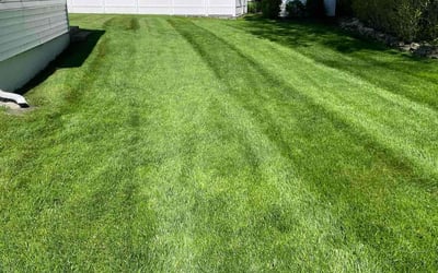 Photo of Lynda A.'s yard after getting lawn care in Plainfield, IL