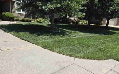 Photo of Deepak S.'s yard after getting lawn care in Augusta, KS