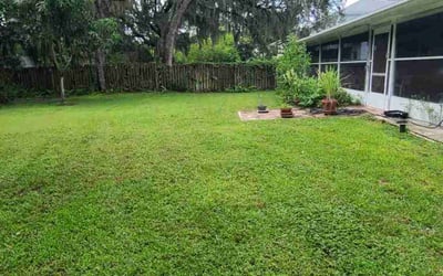 Photo of James S.'s yard after getting lawn care in Marysville, WA