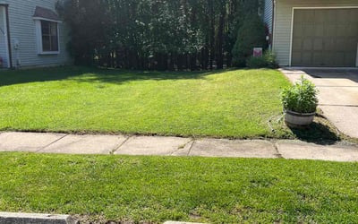 Photo of John A.'s yard after getting lawn care in Chicopee, MA