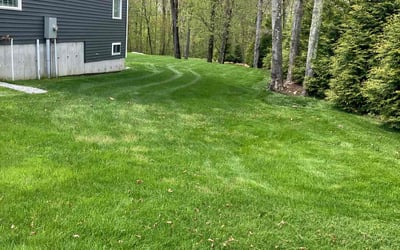 Photo of Chrystal B.'s yard after getting lawn care in East Hampton, CT