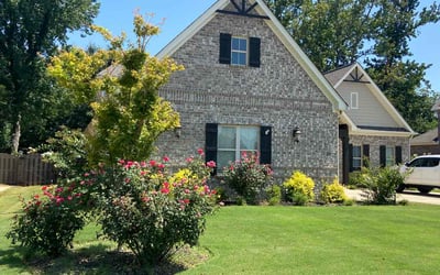 Photo of Paul W.'s yard after getting lawn care in Madison, AL