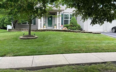 Photo of Muaaviya M.'s yard after getting lawn care in Skokie, IL