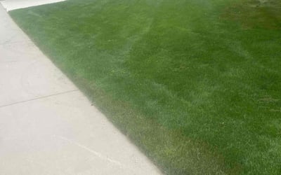 Photo of Joseph S.'s yard after getting lawn care in Paramus, NJ