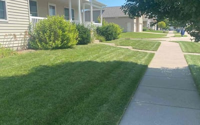 Photo of Ted R.'s yard after getting lawn care in Davenport, IA