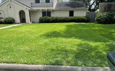 Photo of Derek T.'s yard after getting lawn care in Everett, MA