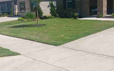 Photo of Theo M.'s yard after getting lawn care in Schenectady, NY