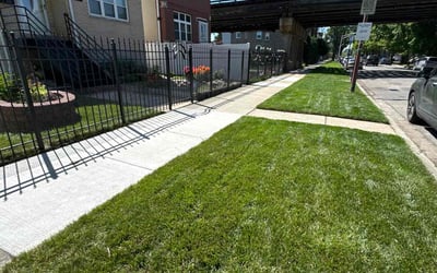 Photo of Renee E.'s yard after getting lawn care in Irving Park, IL