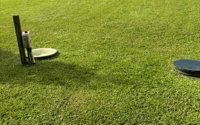 Photo of Dan H.'s yard after getting lawn care in Vacaville, CA