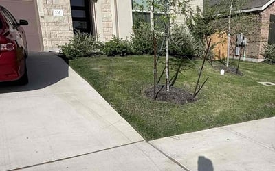 Photo of Rosalyn G.'s yard after getting lawn care in Melbourne, FL