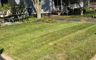 Photo of Phillip D.'s yard after getting lawn care in Mansfield Center, CT